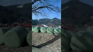 Bad Aibling #germany #travel