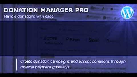 Preview Donation Manager Pro WordPress