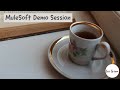 MuleSoft Demo