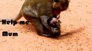 2millions terrify !!! Marcus angry baby until crumple baby seriously, Boss push baby on earth screenshot 1