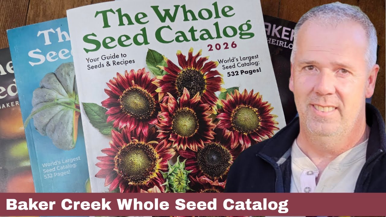 Каталог целых семян Baker Creek 2026