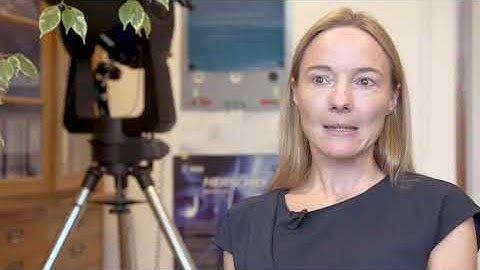 Stellar Winds of Evolved Stars Are Shaped by Binary Companions