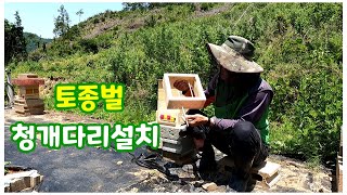 (토종벌통) 청개다리 설치하는 방법 / 토종벌통 벌집붕괴 방지용 청개다리(심대) 설치요령 .