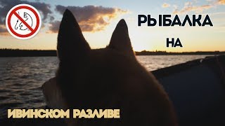 &quot;Рыбалка&quot; на Ивинском разливе / Перевернулся и утопил мотор / Свирь