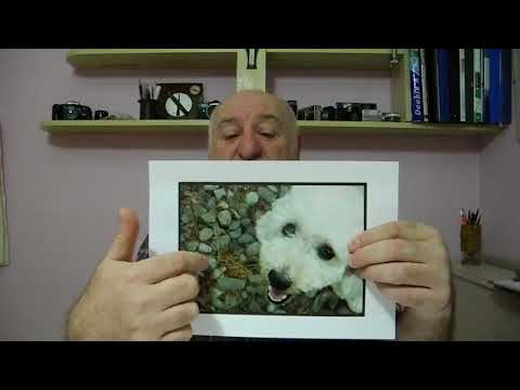 02 გიორგი ბაქრაძე