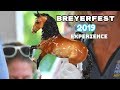BreyerFest 2019 Experience/Equilocity