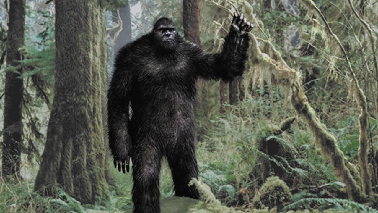 funny video memes Bigfoot: New Evidence
