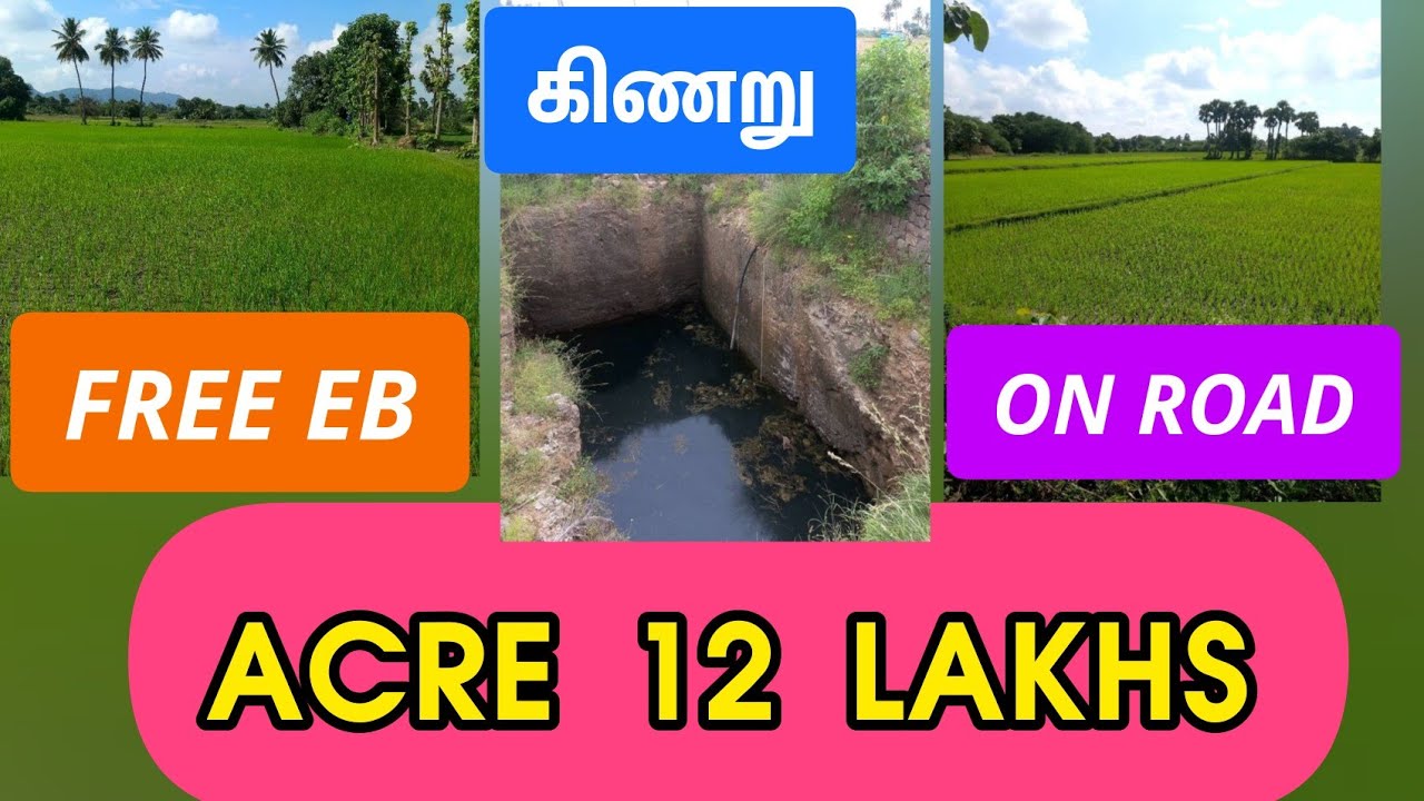 புஞ்சை நிலம் விற்பனைக்கு Agriculture land for sale ID1126 low