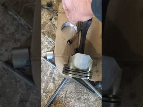 كيف نعرف البرنزيني بيلي كويس