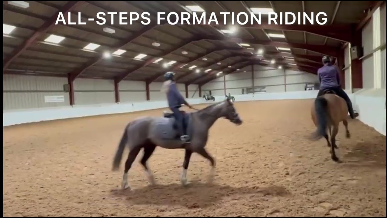 Landlords Farm 15/02/26 All-Steps Formation Riding clinic