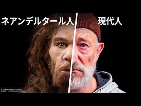 比べてみよう：現代人とネアンデルタール人