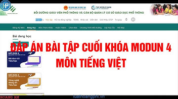 ĐÁP ÁN BÀI TẬP CUỐI KHÓA MÔ ĐUN 4 - MÔN TIẾNG VIỆT