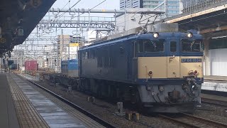 【豪快なジョイント音！】JR貨物 EF64 1034号機+コキ13B 愛A81仕業[81レ] 南松本行 名古屋駅通過！[2023.12.14(木)]