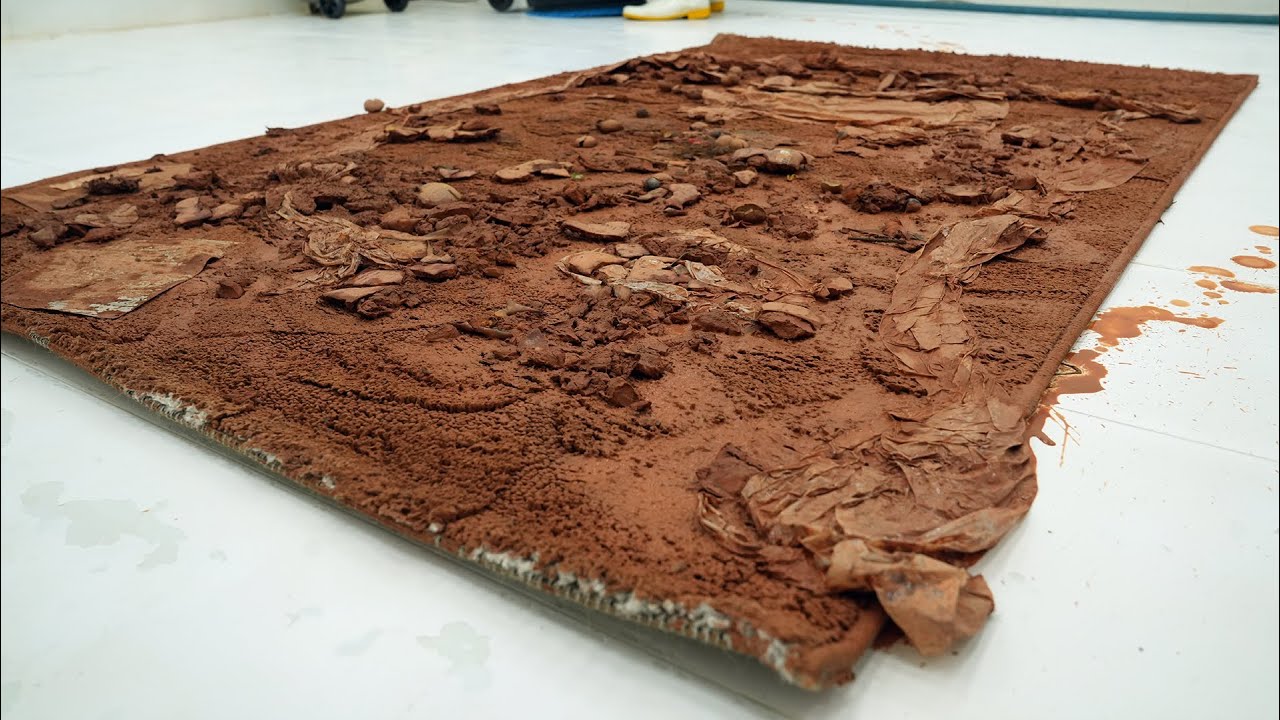 $20,000 Rug Found in a Trash Bag – Watch the Full Restoration - Carpet Cleaning ASMR