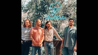 The Teskey Brothers - Man of the Universe