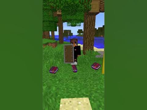 😨СЕКРЕТ ЩИТА В МАЙНКРАФТ #minecraft #shorts #майнкрафт - YouTube