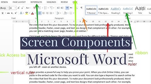 Introduction To Microsoft Word | Screen Components Of MS Word ( Title Bar, Ruler, Veiw Tool Bar etc)