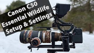 Canon C50 Essential Wildlife Setup and Settings