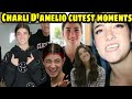 Charli D&#39;amelio cutest moments part 2|compilations| Dixie D&#39;amelio | The D&#39;amelio family