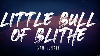 Vignette de la vidéo "Sam Fender - Little Bull Of Blithe (Lyrics)"