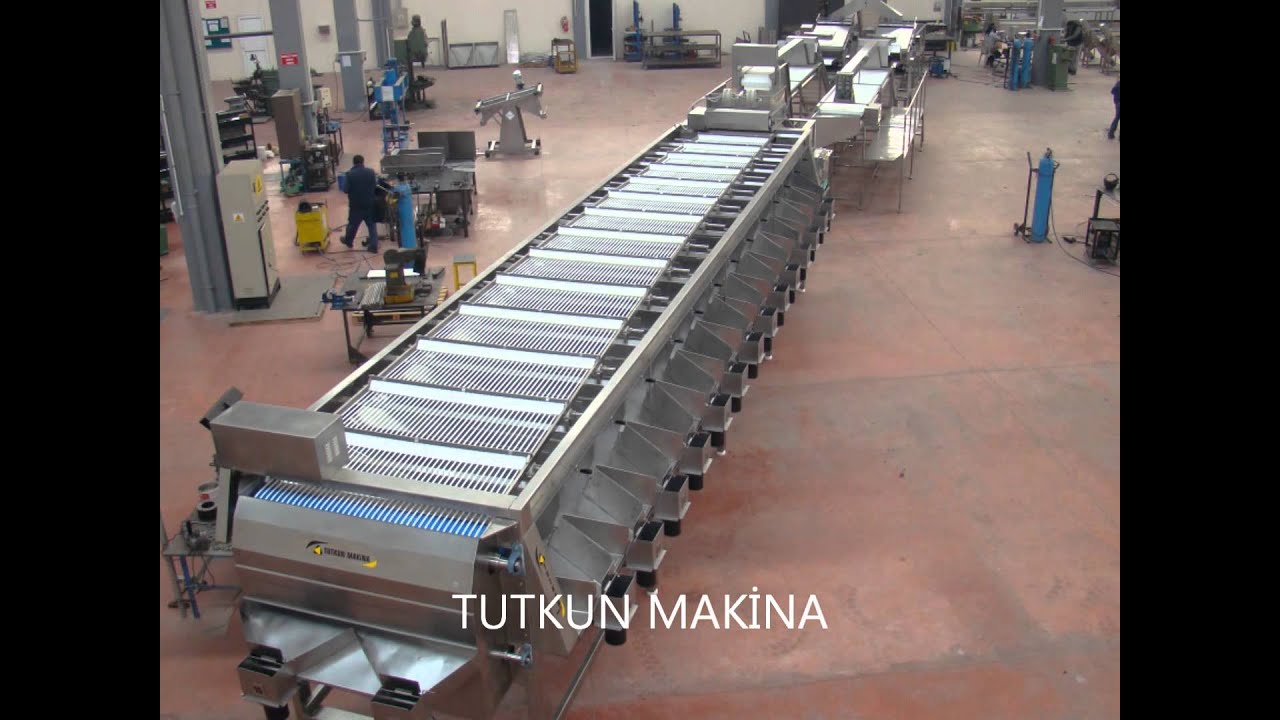 tutkun makina zeytin kalibre makinalari olive pitting machine youtube olive machine rent