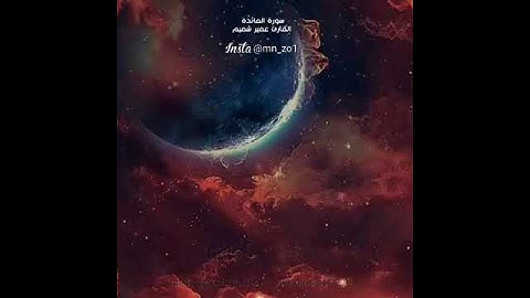 ارح سمعك تلاوة عطرة //حالات وتس اب دينية//مقاطع انستقرام روعة