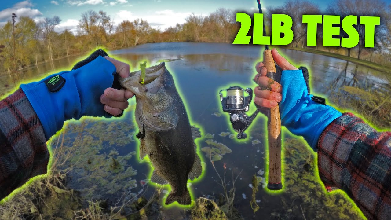 Endurance pull Zeal bass fishing with ultralight gear Diplomatic issues  Addiction forecast