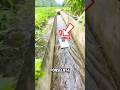 Niat Bikin Video Estetik, HP Ini Malah Tenggelam di Selokan!