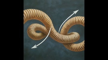 Dependent sample t-test