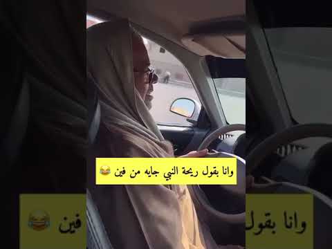 ضحك سواق تاكسي مصري وانا اقول ريحة النبي جاية منين