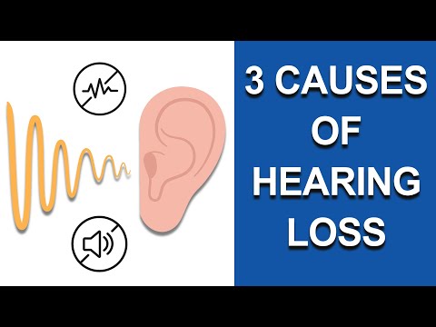3 Main Causes of HEARING LOSS & How To Treat It! 🔊👂