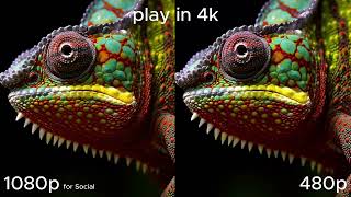 เปรียบเทียบวิดีโอ Midjourney | 480p vs 1080p for Social 🔍🦎 Midjourney Video Quality Comparison