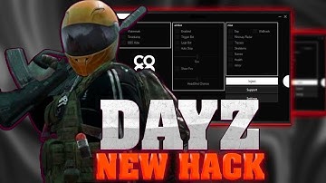 🔥 NEW DayZ Hack 2025 – Speed & Flight Hack ✈️, Loot ESP 📦, Infinite Stamina 💪 | Undetectable & Safe