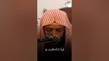 تلاوة بقمة الخشوع من سورة النمل (أمن يجيب المضطر إذا دعاه )#وديع_اليمني