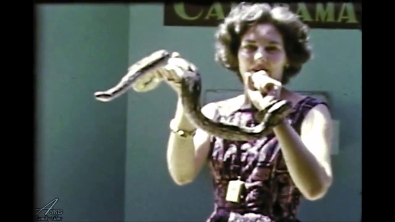 Ross Allen's Reptile Institute - 1961