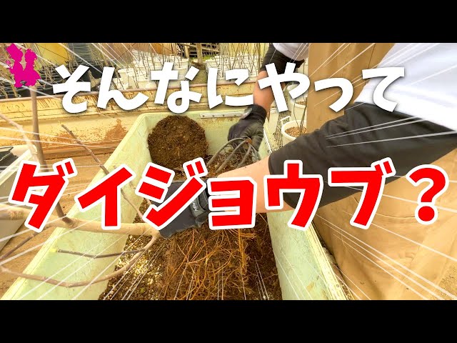 Must-Have] A horticultural farmer demonstrates the essential