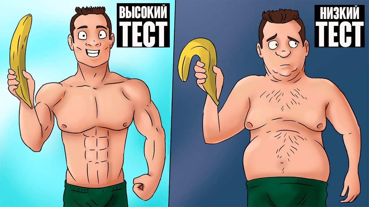 натуральный активатор тестостерона для мужчин