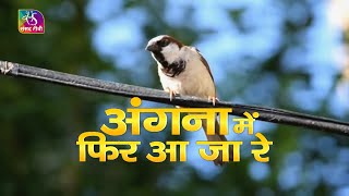 Special Programme on Sparrow । गौरैया पर विशेष कार्यक्रम | 19 March, 2023