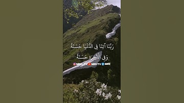 ماهر المعيقلي - سورة البقرة ( برواية حفص عن عاصم ) الأية 201 - 202