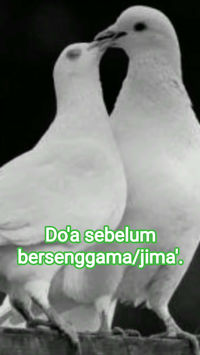 Do'asebelum bersenggama/jima'#kangdadankurniachannel