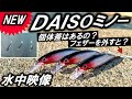 【新DAISOミノー】水中映像 シーバス に使えるサイズの ルアー が発売！ダイソー 釣り具 の進化がヤバイ！同時に泳がせて個体差チェック！