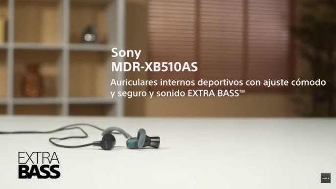 Sony - Casque écouteur SONY MDRXB 510 ASB - Ecouteurs intra