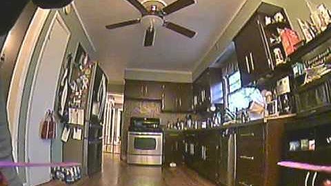 Fatshark DVR recording through GS signal.