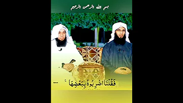 و إ ذ ق ت ل ت م ن ف س ا ف اد ار أ ت م ف يه ا قران كريم الشيخ منصور السالمى 