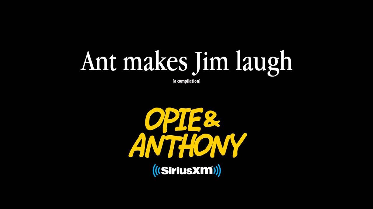 Ant makes Jim laugh