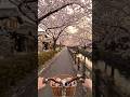 cycling #viral #trending #travel #shortvideo
