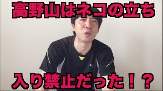 高野山はネコの立ち入り禁止だった！？