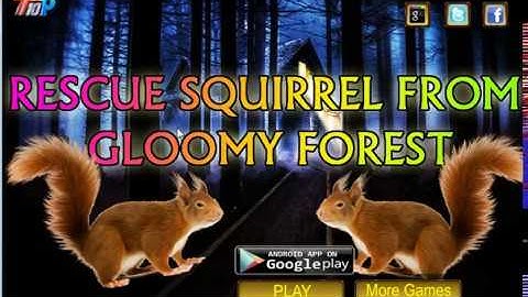 Rescue squirrel  from Gloomy Forest Walkthrough