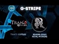 THE GENETIC CANVAS- GENETIC STRIPE BALL PYTHON MUTATION- EP46 w/Special Guest NINJA BALL REPTILES