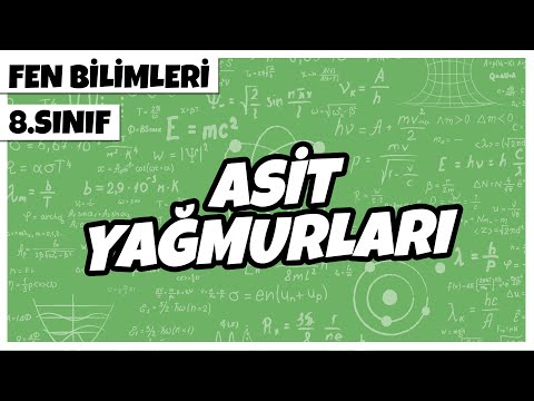 8. Sınıf Fen Bilimleri - Asit Yağmurları | 2022